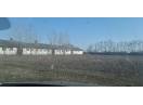 VAND FERMA TEREN 10 Hectare Buftea/Crevedia
